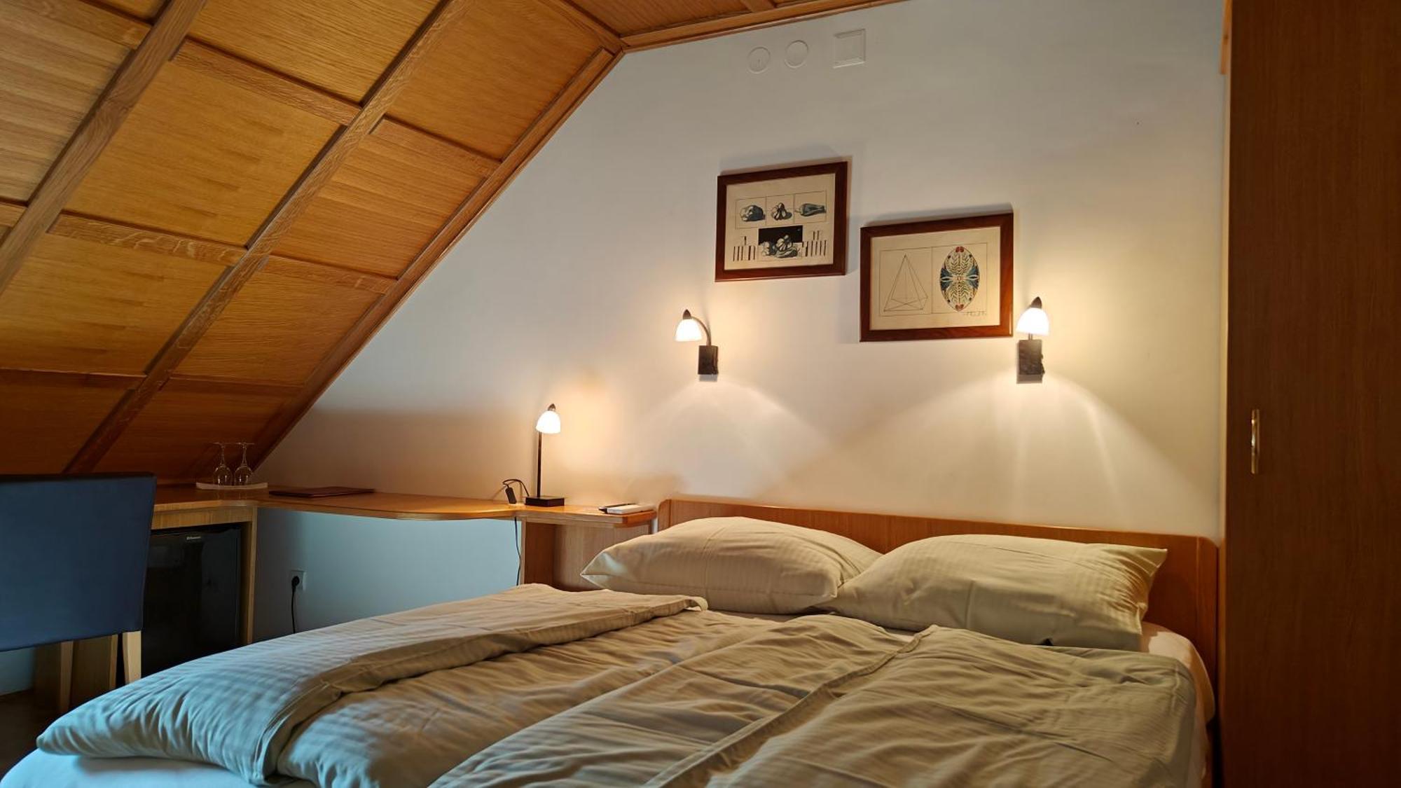Guesthouse Pri Zalogarju Zelezniki Kültér fotó