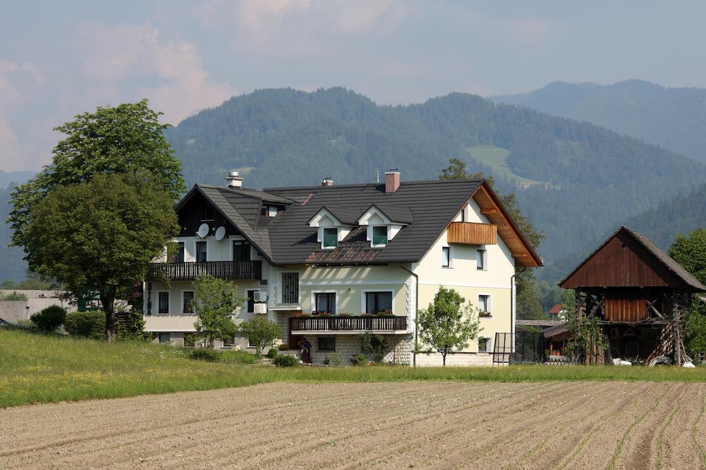 Guesthouse Pri Zalogarju Zelezniki Kültér fotó